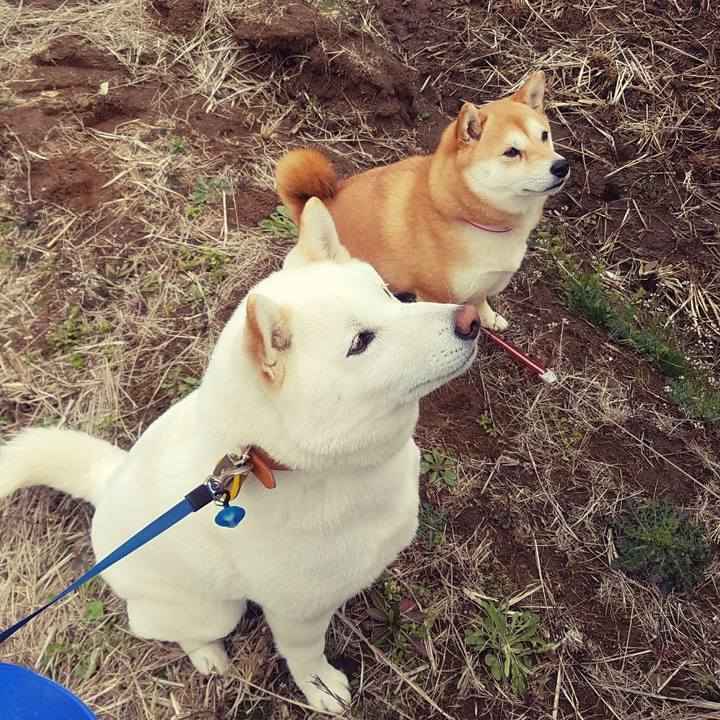 6cc63dc3 eca4 4ac3 b21b 01f30ac4dc40