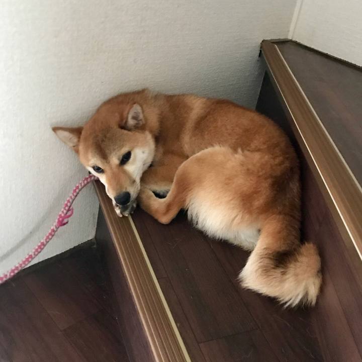 6cc66775 c51a 4d6a b5fa c5d2da73ee75