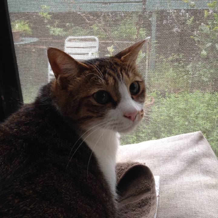 6cc711df 2de3 49fa 87ce 30281c0c5e77