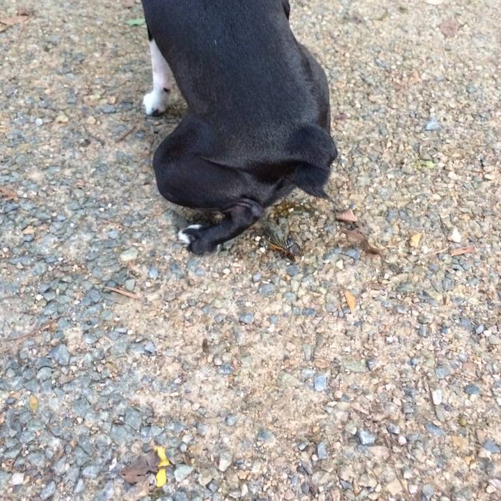 6cc768c5 7c11 4f94 bf47 9c7a733083bf