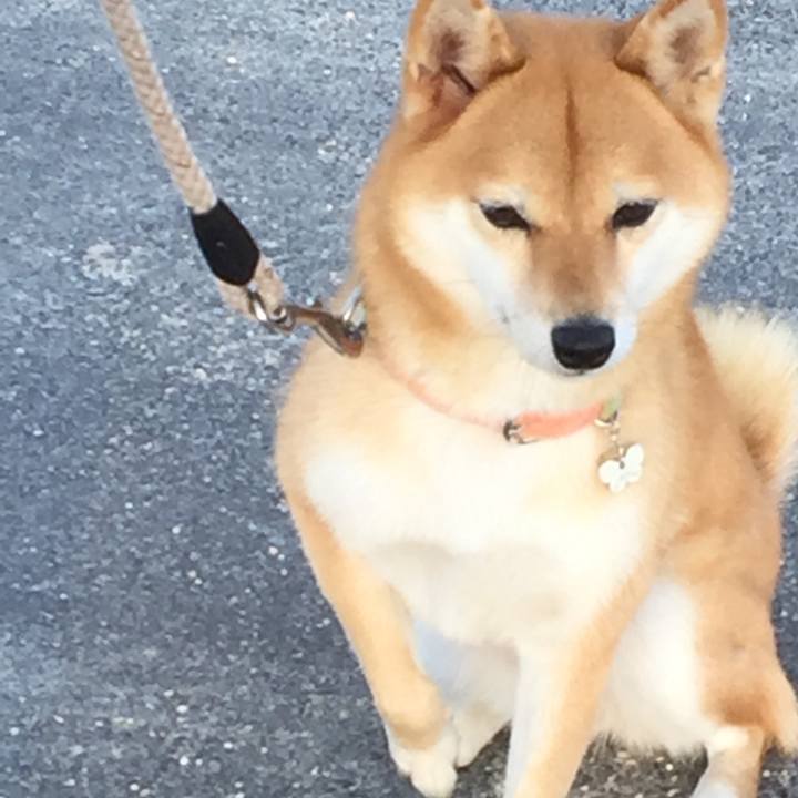 6cc8ab49 09da 4785 93e9 36865442297b