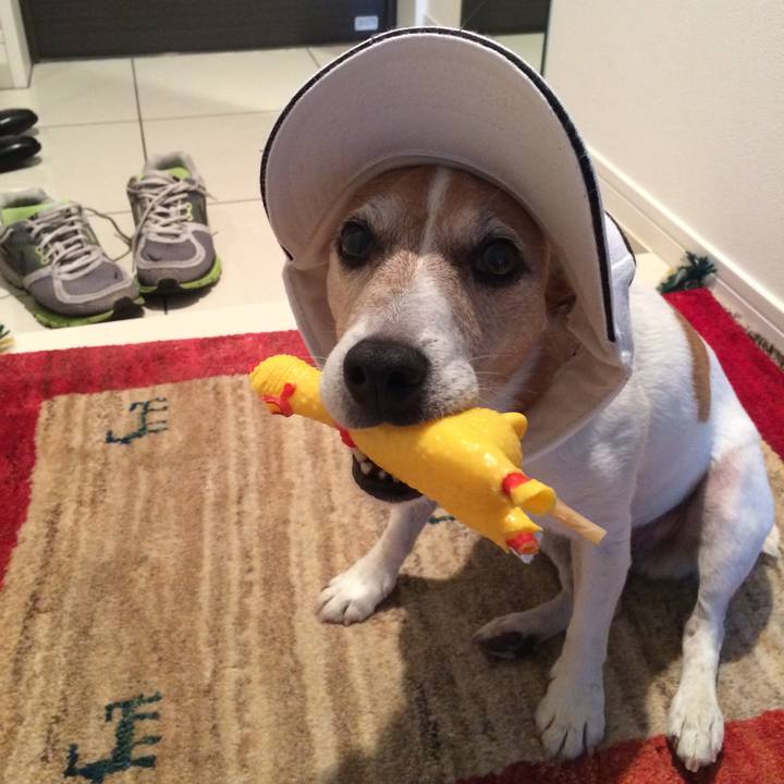 6cc8f46b fad6 4917 835a 4df32d732156