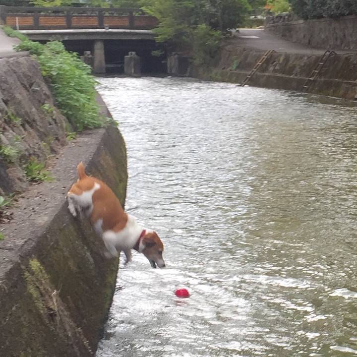 6cc90611 5e67 47f8 b9d6 40f509950479