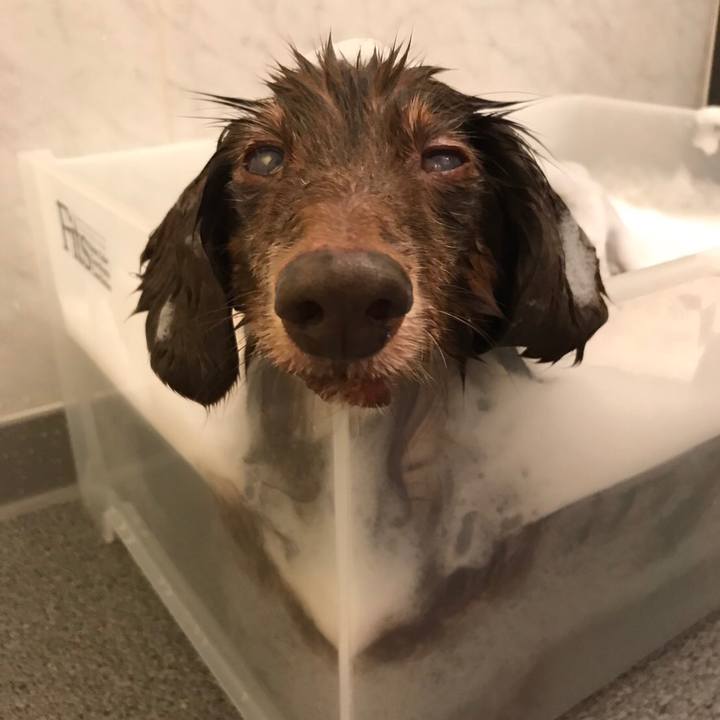 6cc90c44 c5cb 4572 af16 fb2fd5d672a7