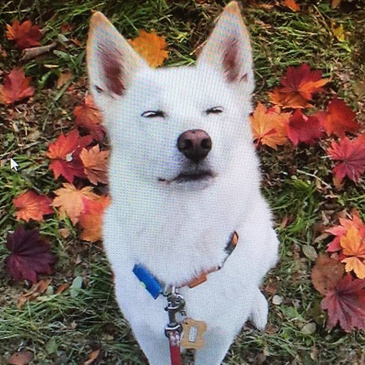 6cca10d1 fa3d 4675 bea0 a771c5ef4f4e