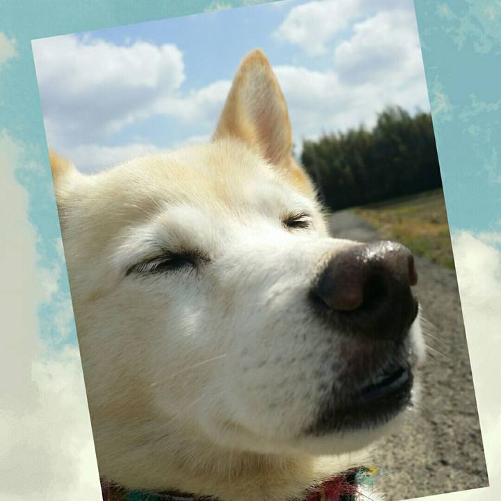 6cca1311 de21 4fb5 a55b ff5bc8b94423