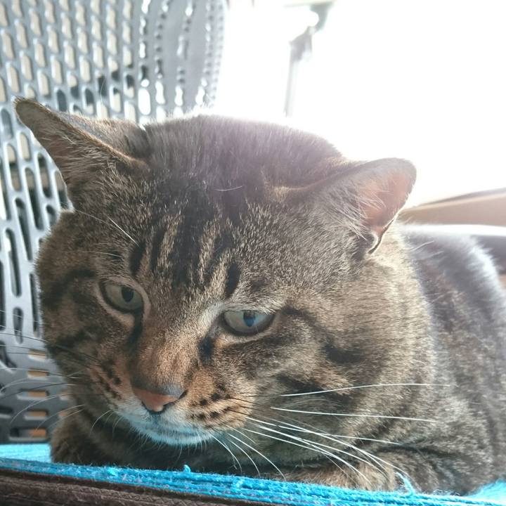 6cca27ae a450 4ddb a182 e7df0c7cd164