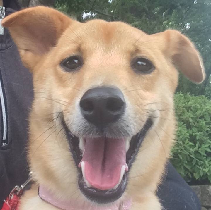 6cca2fc4 d0cb 4269 8088 d0e1b928ed55