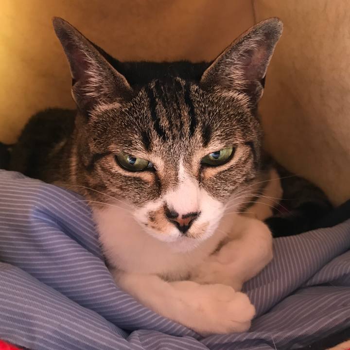 6ccae016 36b3 4db8 9770 6e7ba7d9e6ee