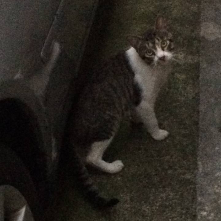 6ccccdbe f9e8 4d11 ad96 24a2ffa710a7