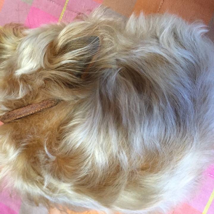 6cccdb7d d54a 4b2f 820a ecddc6b69e8b