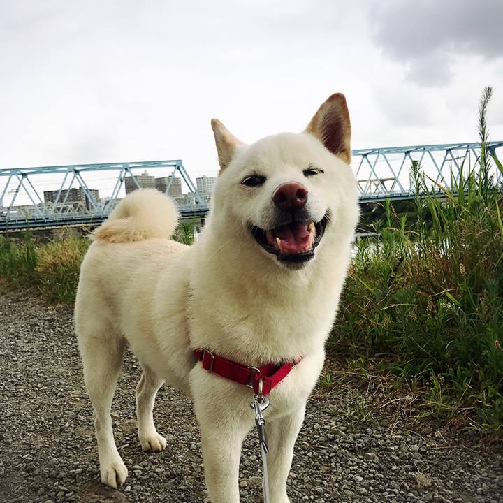 6ccd5bcb c9fb 4985 949a cb7252d23737