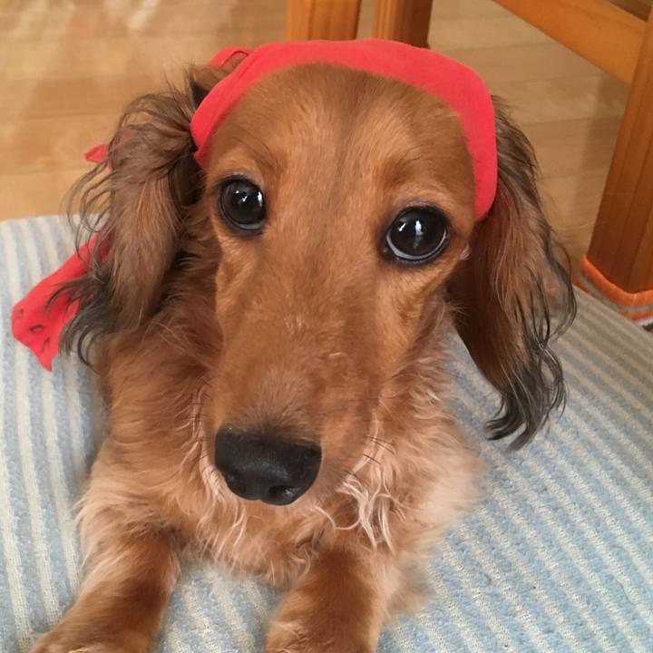 6cce5044 2cac 4054 b64b 5bc02871c7ce