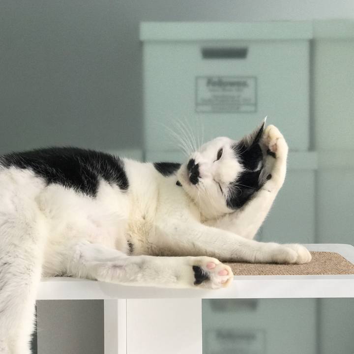 6ccf87a1 9e1a 434c 8a97 63327e7daad7