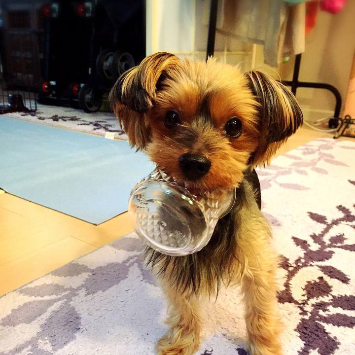 6cd0012e 688d 4047 97a8 5ad2b4cc3dcb