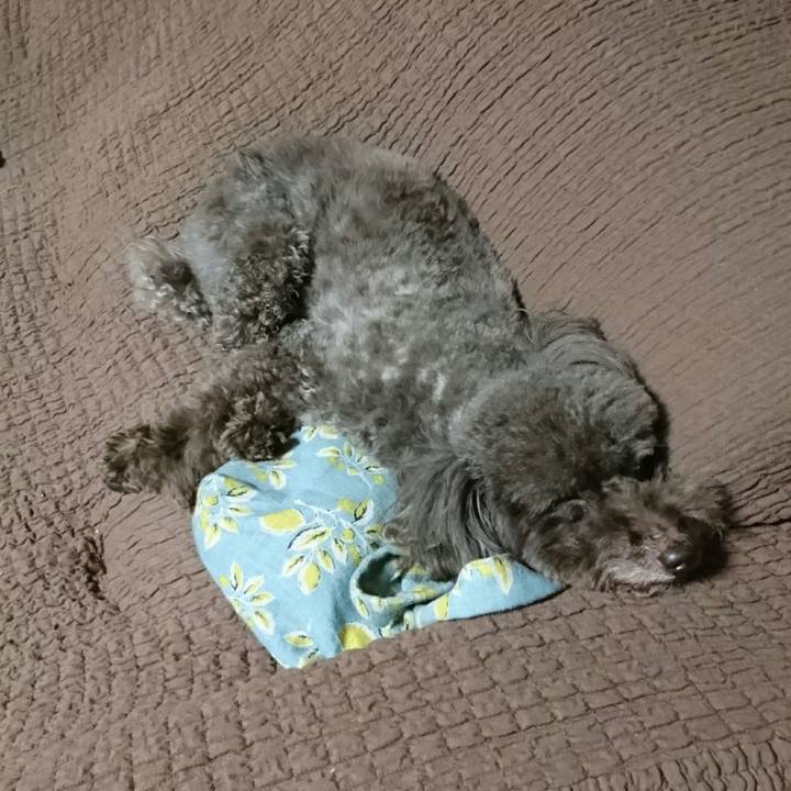 6cd01282 19f4 449d 8b50 85d39c19cc30