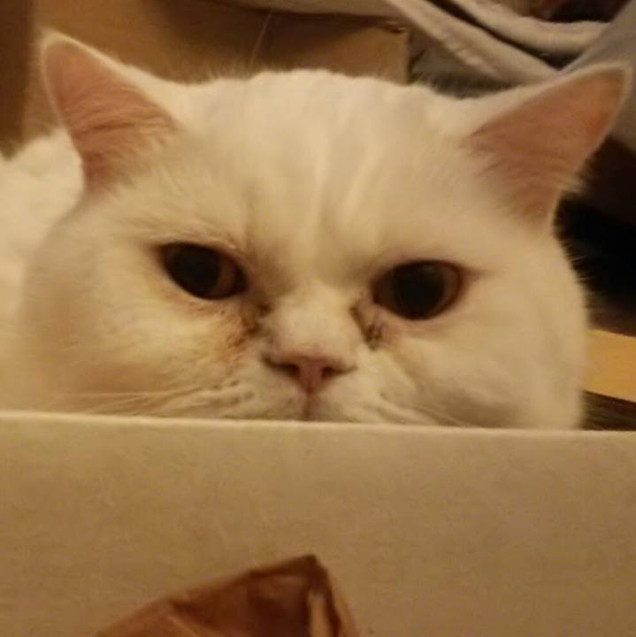 6cd1581f e542 42d0 9612 6fe74e69e84b