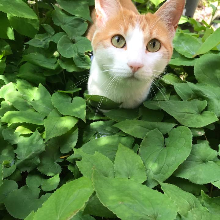 6cd15c18 12b0 4358 91ba 64e732a99345