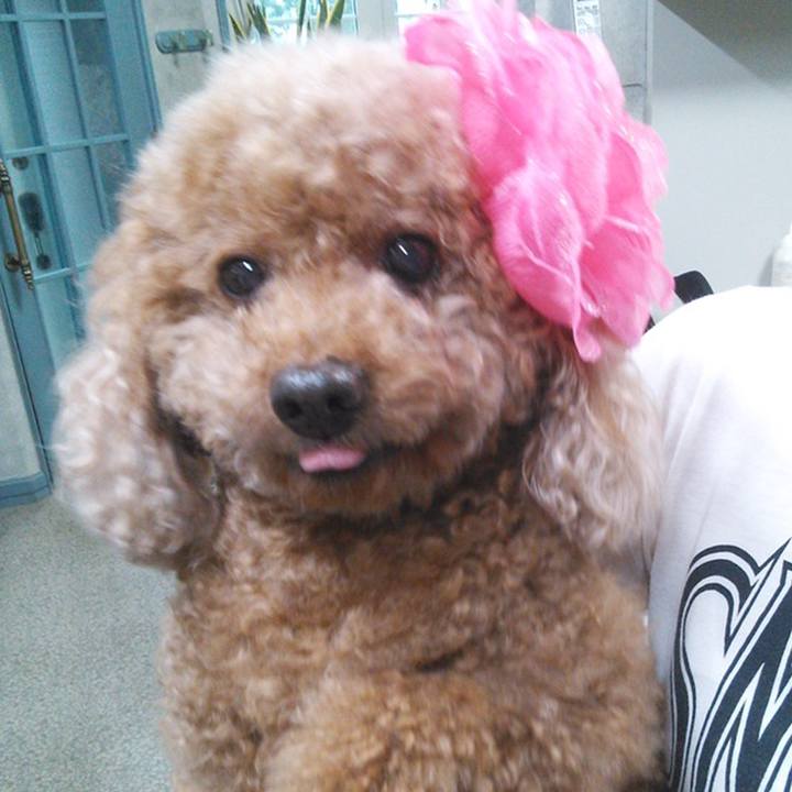 6cd184c0 6516 4fe4 92b5 9f019f6b24f3