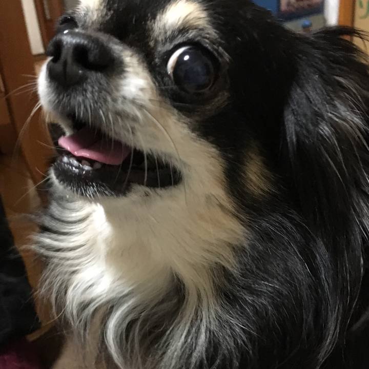 6cd1b858 9cf6 4b6f 8b7f 34ab26d0ac5b