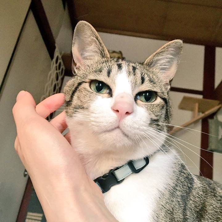 6cd1e14f a626 4a5a ad73 fd97b5ac8f3f