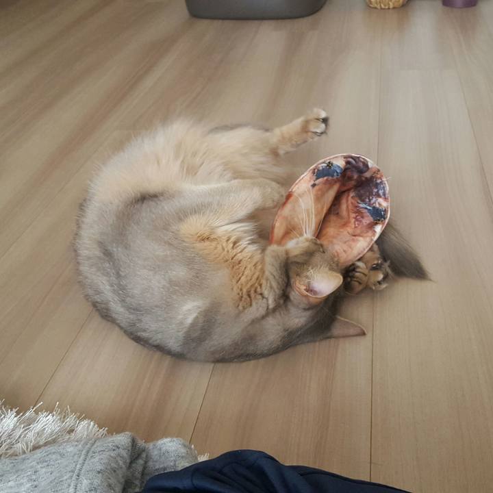 6cd24a38 2198 476c b3cc cfb88ac39d93