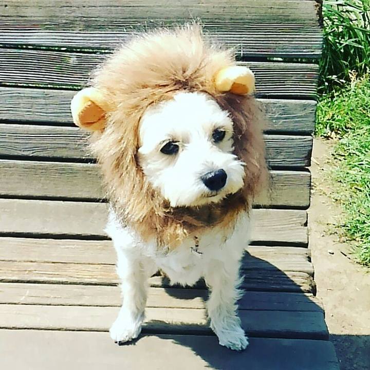 6cd2b8e7 4afa 46b2 bbdb 8669f8a82862