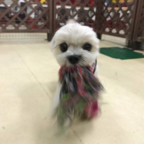 6cd33043 9493 47ab aac5 7709979338f2