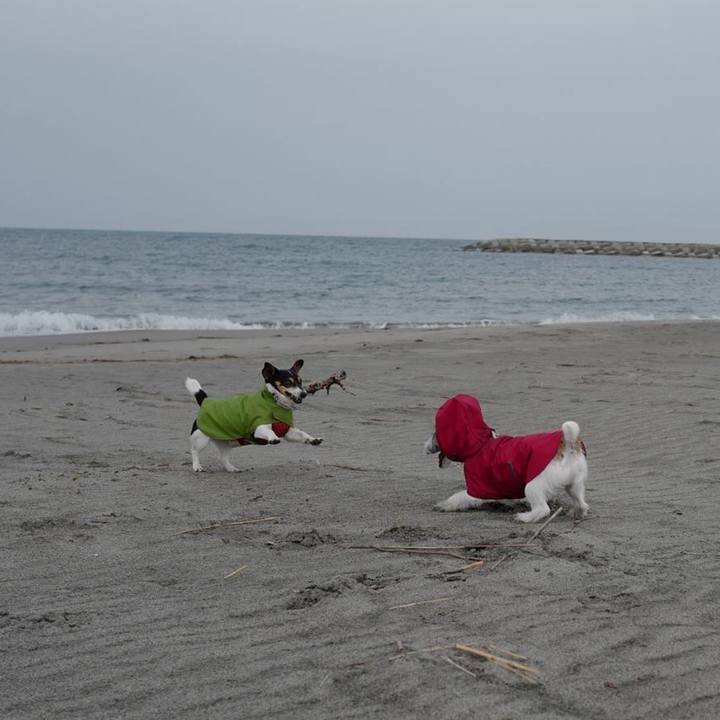 6cd35d40 ba8b 42a6 ae85 3d84448a3bd2