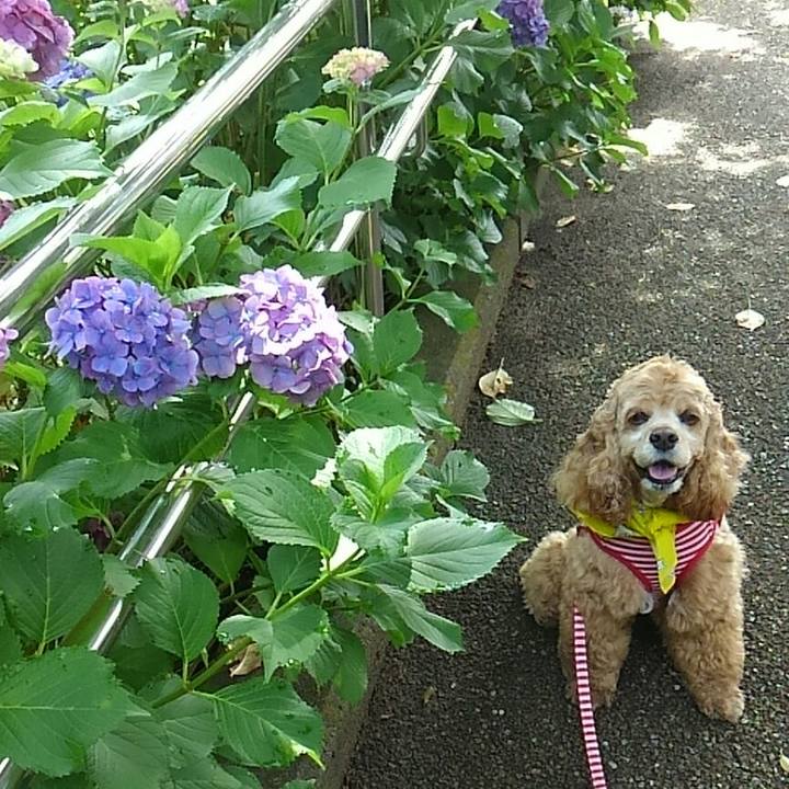 6cd43b16 4c74 46bc a8c9 86bf32bd4a6c