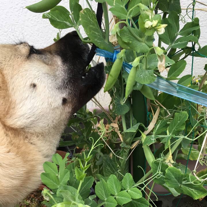 6cd461fa 271e 47f0 939a 909b4a8c054b