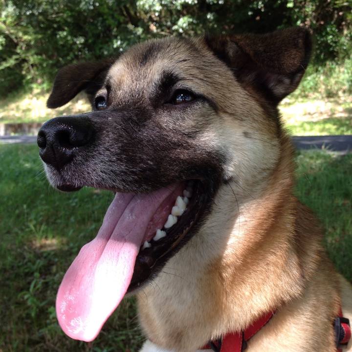 6cd49a82 ae1d 4768 b443 58804bc55956