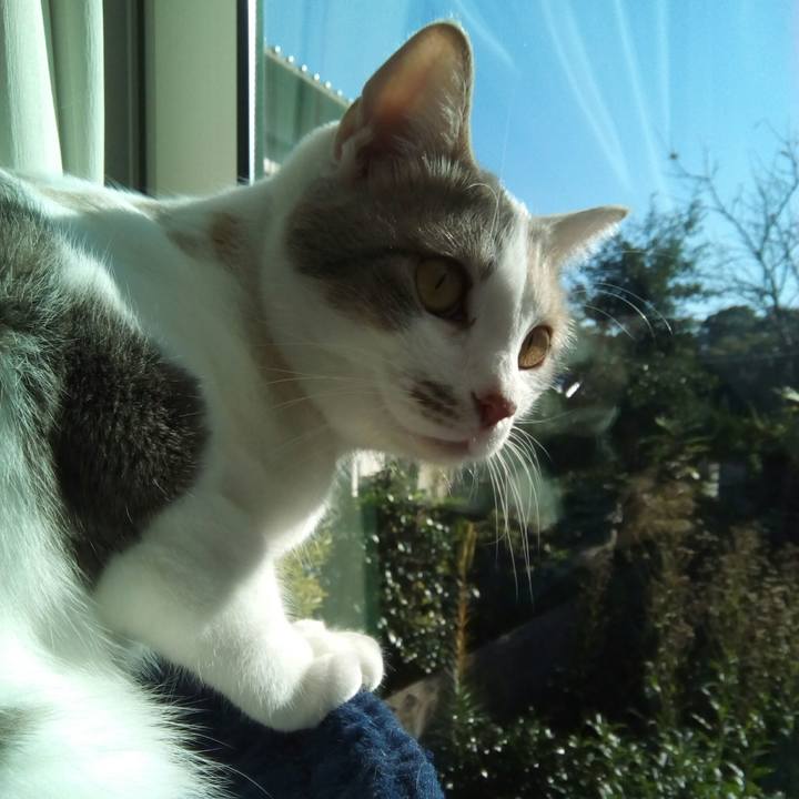 6cd4aa59 e644 40c0 8205 5155d2941b21