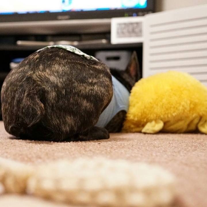 6cd4ed96 9c35 4aeb 9d45 c1f69d2fb5c9