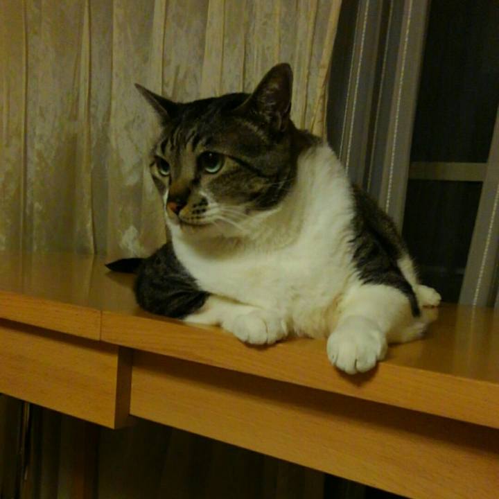 6cd52a18 34a3 4d20 9323 8e211b486339