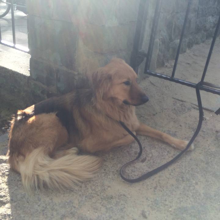 6cd52d46 0edf 463e 8b83 340fa5cddcf3