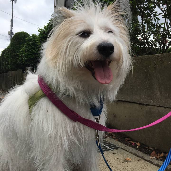 6cd54e31 1063 4186 9a8d c276008390ee