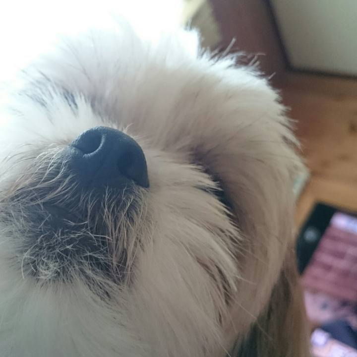 6cd569c3 5894 4e0b 850d 8f1a6a6a1f6b