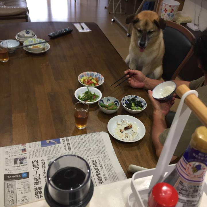 6cd5858d b854 4076 97bf d2210c32b453