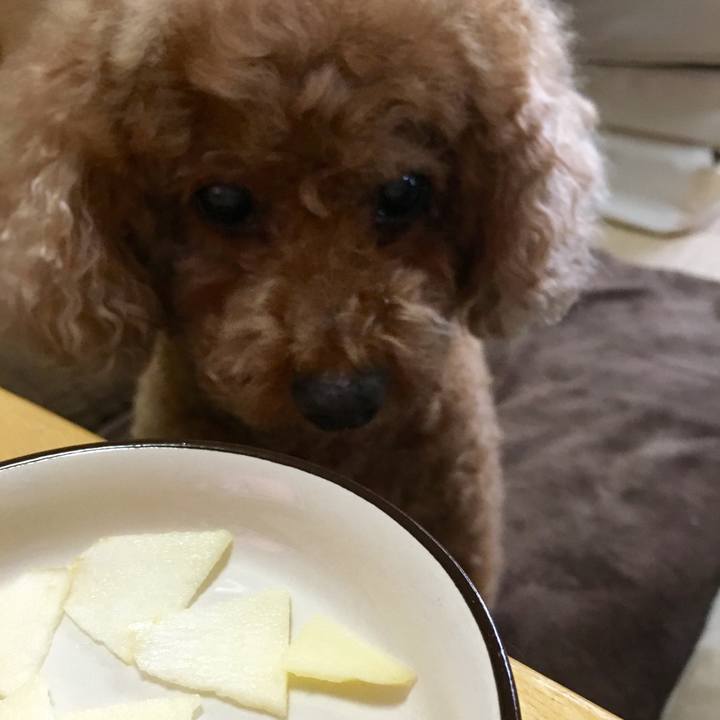 6cd695c4 d2a2 424a 945e 524c6f56ac6f