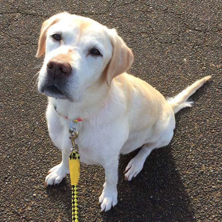 6cd7546f 5344 4b49 8555 a8c4f625ef8c