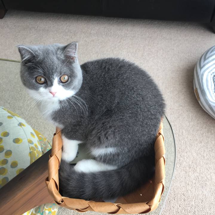 6cd7e895 6c05 4ba8 beee cfcc8f2c4da9