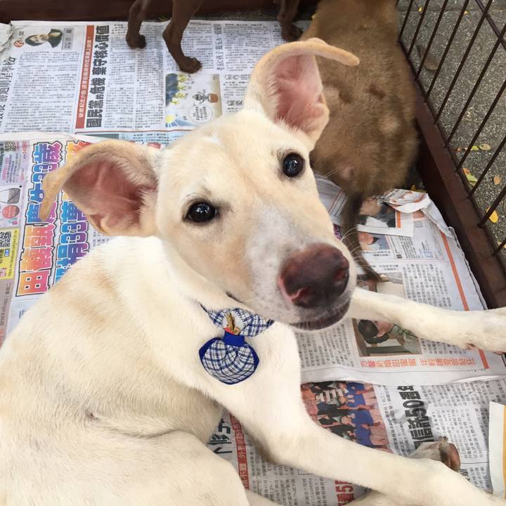 6cd840d5 630b 448e b285 dba33f6c1621