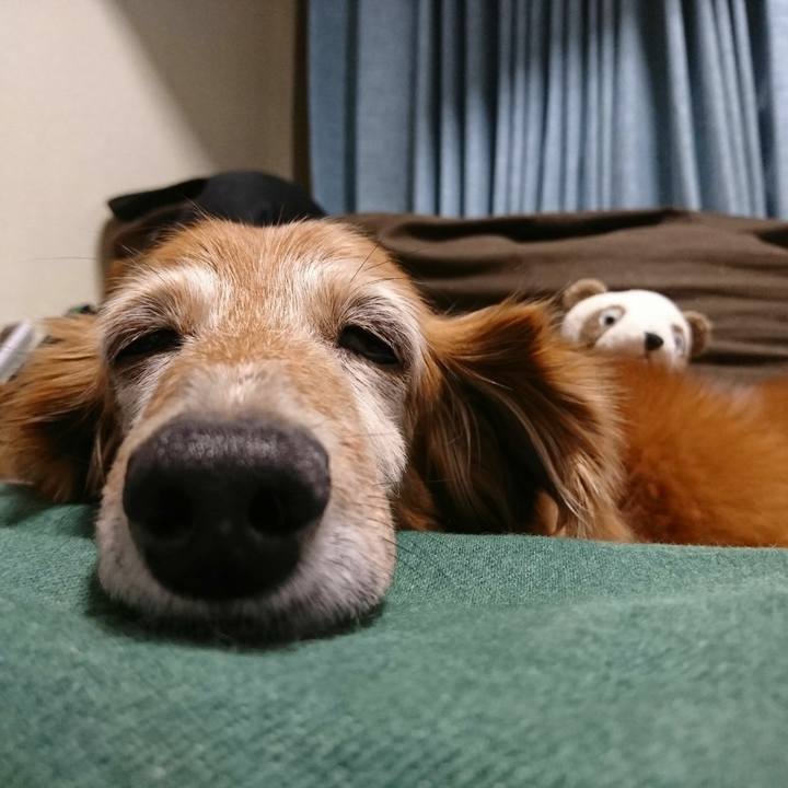 6cd8793b 47c0 4bc9 8f22 85d284bd970a