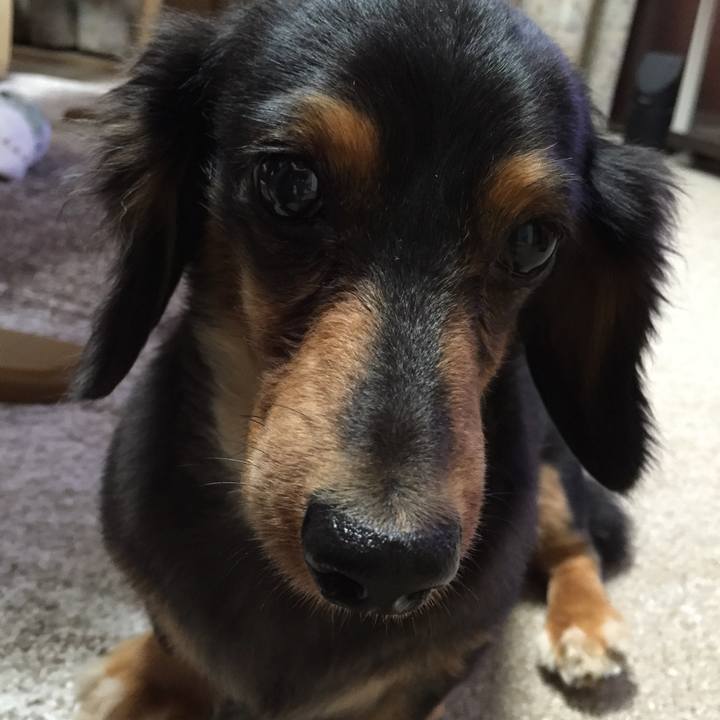 6cd87a93 2d61 43bb a216 41adc7cc50df