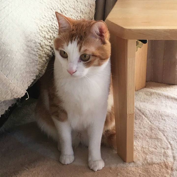 6cd8d630 bf94 48ba aaf9 2580bc56b3f3