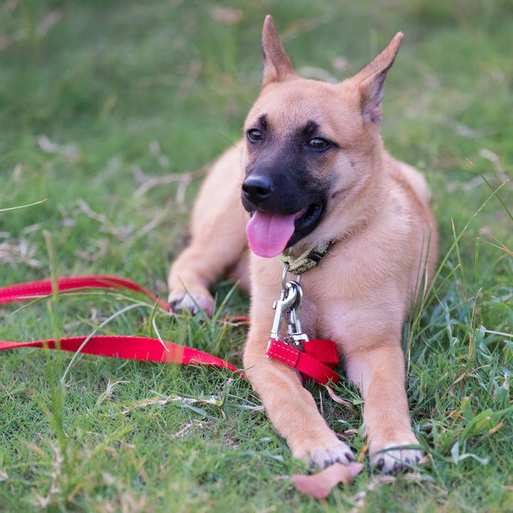 6cd93239 9ff1 4c2b b7c2 ccff9bb18681