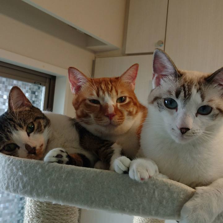 6cd96683 81d9 4df8 ba08 b524315b3db1