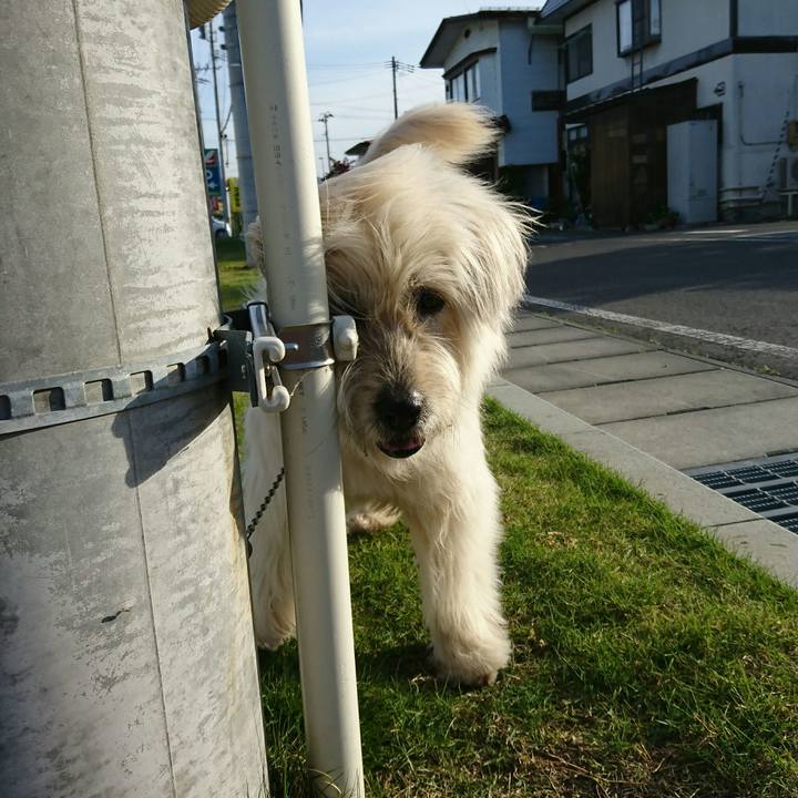 6cd9e73f 8d4d 4efd bc3a 39dde07af99b