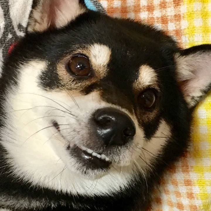 6cd9eb33 bb41 47ee 817e bbfe04f52896